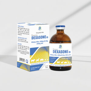 DEXASONE 2 M2