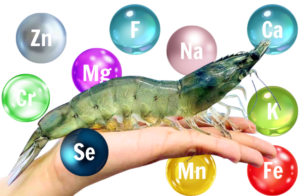 Các loại khoáng chất quan trọng trong nuôi thủy sản giúp tôm cá phát triển khỏe mạnh và tăng tỷ lệ sống.