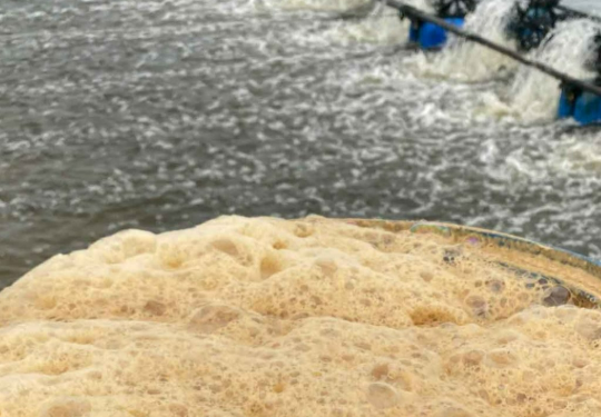 AQUATIC PROBIOTICS: BENEFITS AND USAGE GUIDE