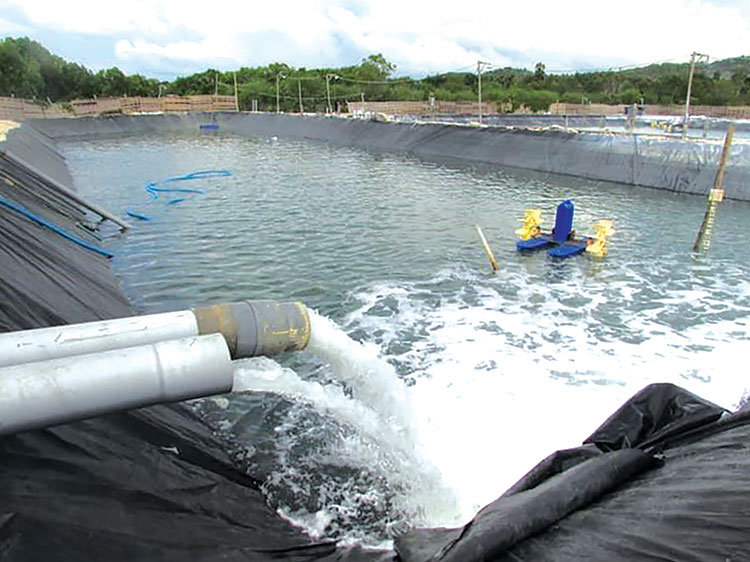 EFFECTIVE POND WATER TREATMENT FOR SUSTAINABLE AQUACULTURE
