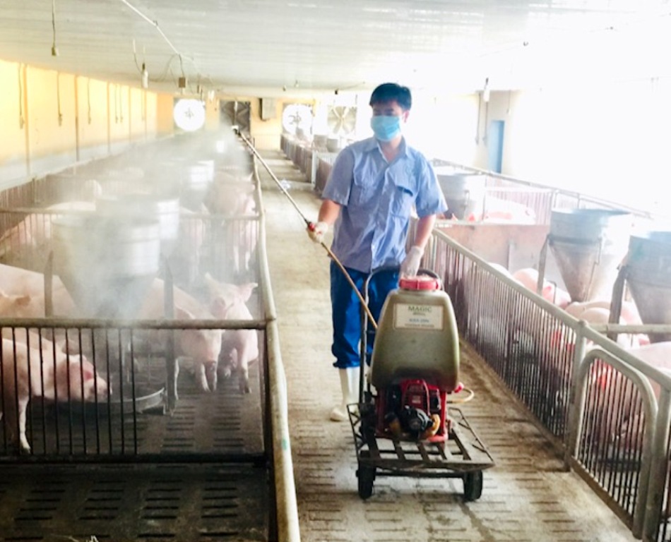 7 MISTAKES IN LIVESTOCK BARN DISINFECTION THAT ALLOW DISEASES TO PERSIST